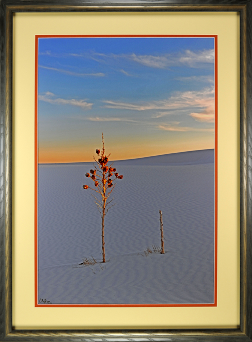 White Sands N.M.