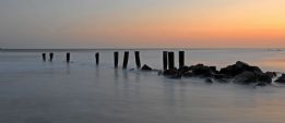 Charleston S.C.