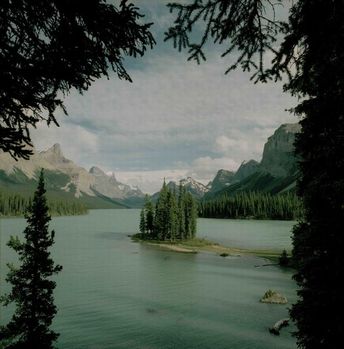 Jasper National Park